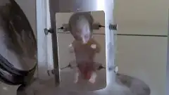 Секретные материалы 1 сезон 24 серия