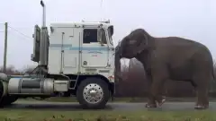 Секретные материалы 2 сезон 18 серия