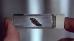 Секретные материалы 2 сезон 22 серия