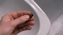 Секретные материалы 3 сезон 12 серия