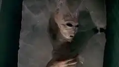 Секретные материалы 4 сезон 24 серия