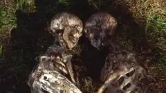 Секретные материалы 6 сезон 21 серия