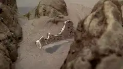 Секретные материалы 6 сезон 22 серия