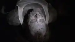 Секретные материалы 7 сезон 4 серия