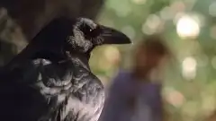 Секретные материалы 7 сезон 16 серия