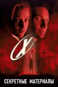 постер Секретные материалы